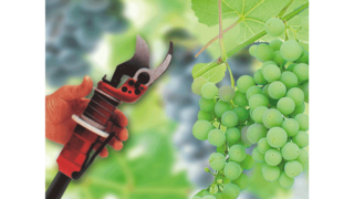 KAESER pramoniniai stūmokliniai kompresoriai vyno gamybai.